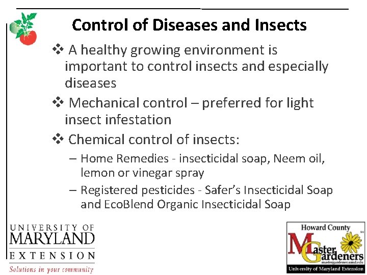Control of Diseases and Insects v A healthy growing environment is important to control