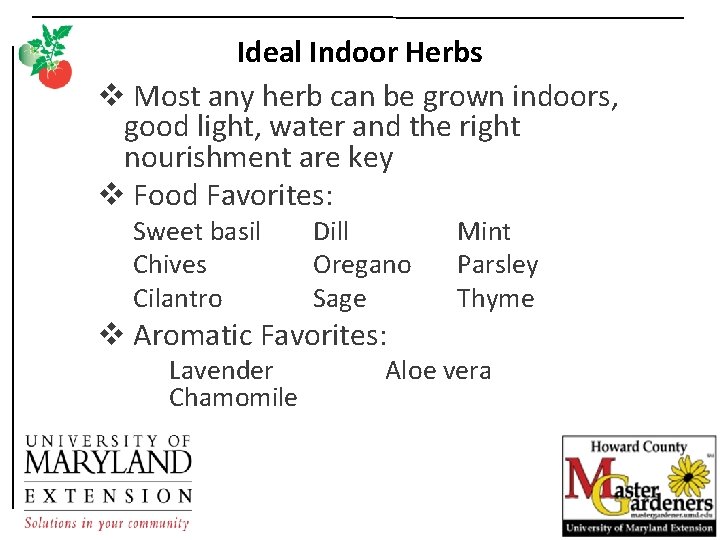 Ideal Indoor Herbs v Most any herb can be grown indoors, good light, water