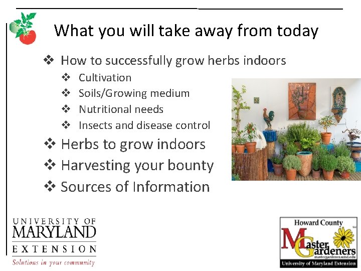 What you will take away from today v How to successfully grow herbs indoors