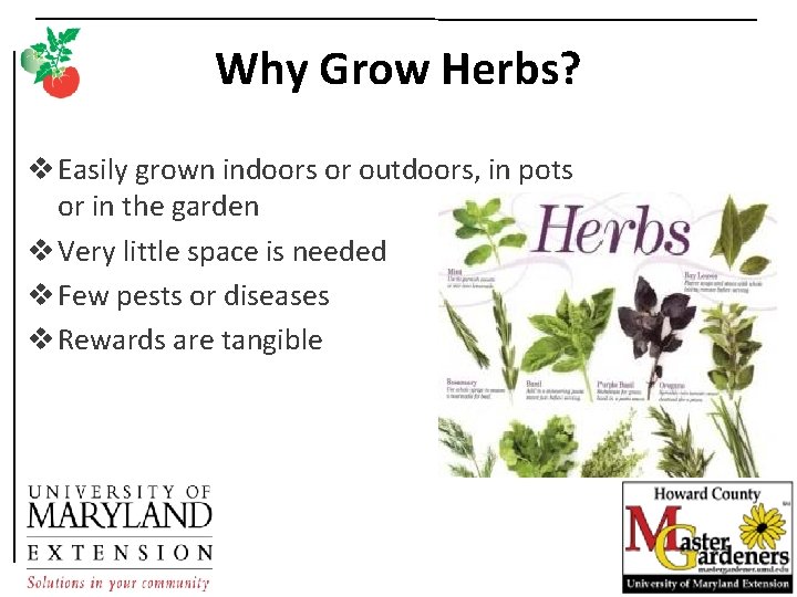 Why Grow Herbs? v Easily grown indoors or outdoors, in pots or in the