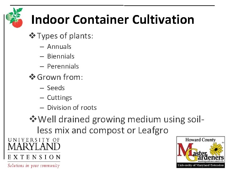Indoor Container Cultivation v Types of plants: – Annuals – Biennials – Perennials v