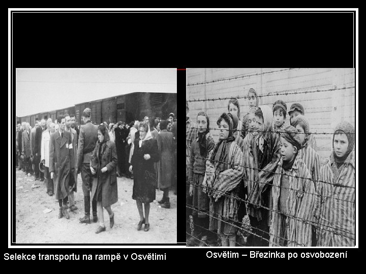Selekce transportu na rampě v Osvětimi Osvětim – Březinka po osvobození 