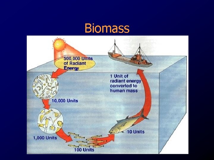 Biomass Biomass