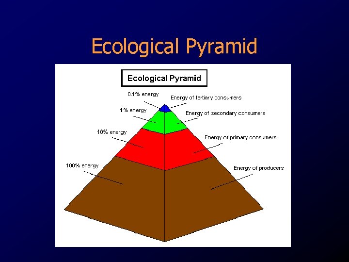 Ecological Pyramid Ecological Pyramid