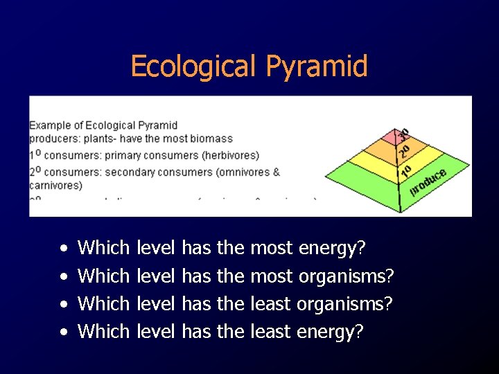 Ecological Pyramid • • Which level has has the the most energy? most organisms? Ecological Pyramid • • Which level has has the the most energy? most organisms?