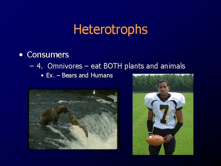 Heterotrophs • Consumers – 4. Omnivores – eat BOTH plants and animals • Ex. Heterotrophs • Consumers – 4. Omnivores – eat BOTH plants and animals • Ex.