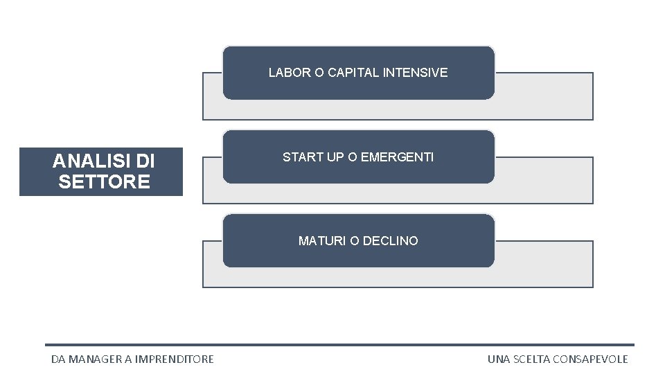 LABOR O CAPITAL INTENSIVE ANALISI DI SETTORE START UP O EMERGENTI MATURI O DECLINO