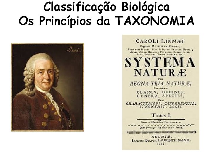 Classificação Biológica Os Princípios da TAXONOMIA 