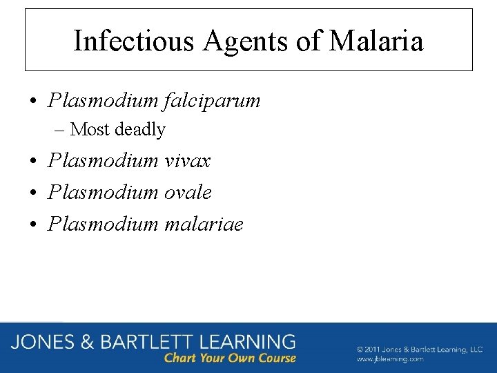 Infectious Agents of Malaria • Plasmodium falciparum – Most deadly • Plasmodium vivax •