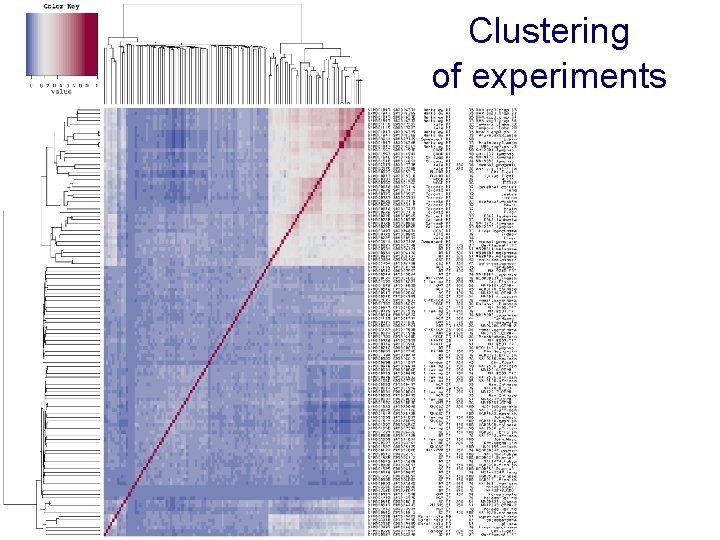 Clustering of experiments 