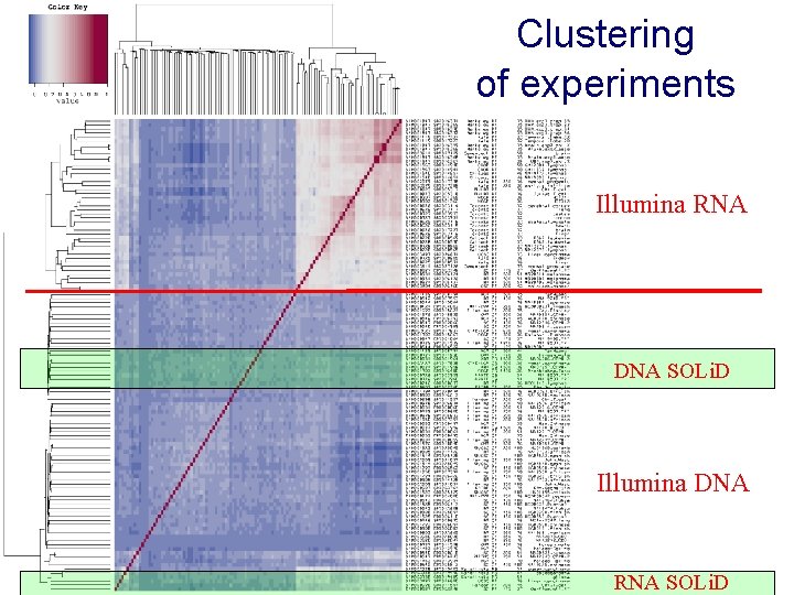 Clustering of experiments Illumina RNA DNA SOLi. D Illumina DNA RNA SOLi. D 