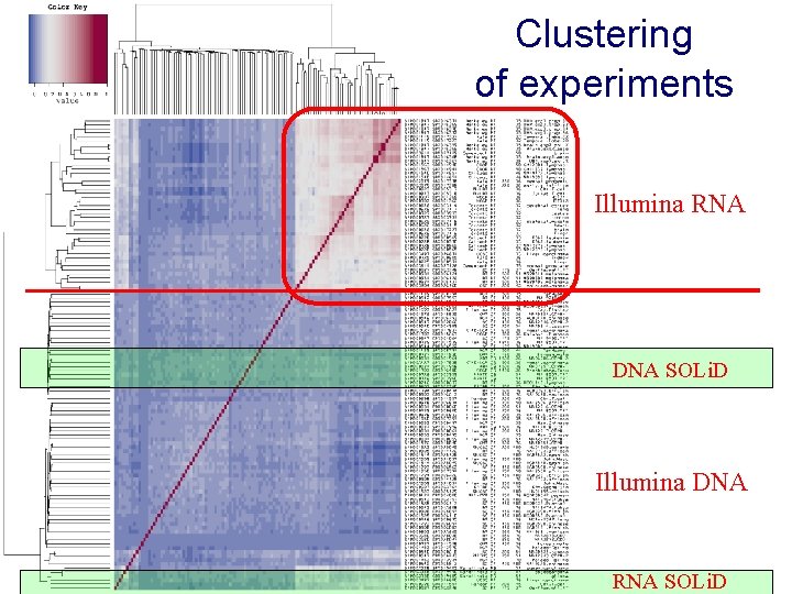 Clustering of experiments Illumina RNA DNA SOLi. D Illumina DNA RNA SOLi. D 