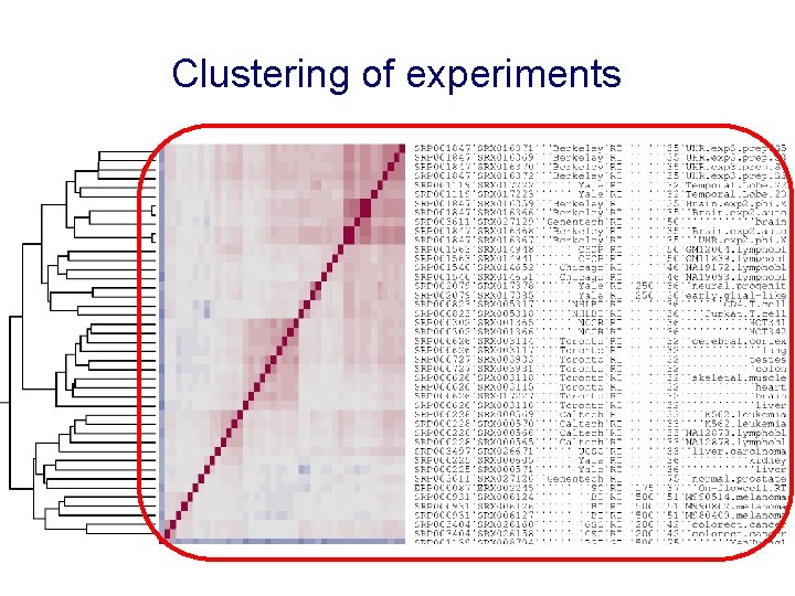 Clustering of experiments 