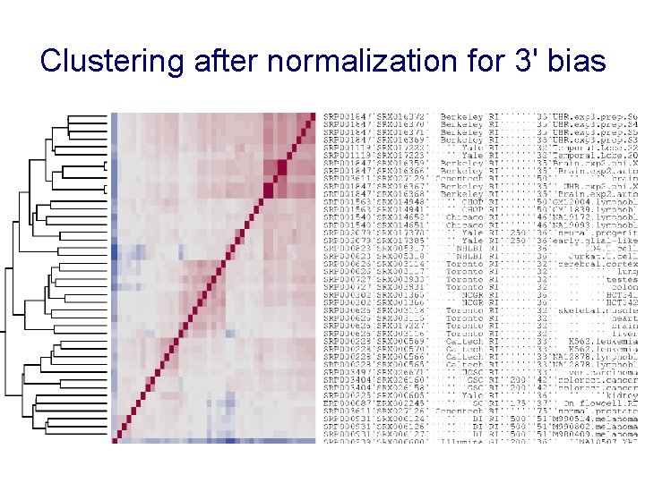 Clustering after normalization for 3' bias 