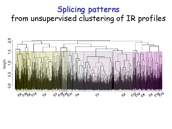 Splicing patterns from unsupervised clustering of IR profiles 