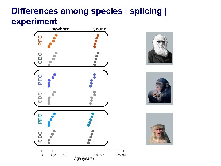 Differences among species | splicing | experiment 
