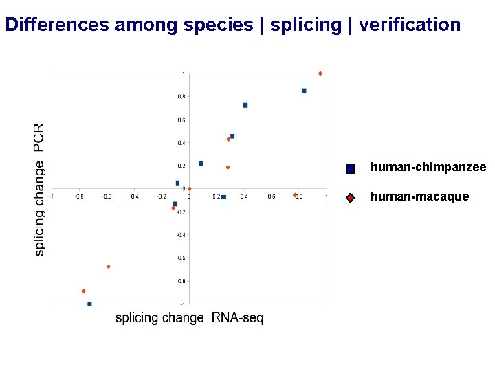 Differences among species | splicing | verification human-chimpanzee human-macaque 