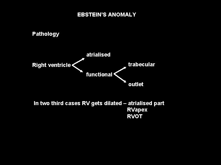 EBSTEIN’S ANOMALY Pathology atrialised trabecular Right ventricle functional outlet In two third cases RV