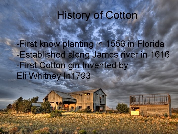 History of Cotton -First know planting in 1556 in Florida -Established along James river