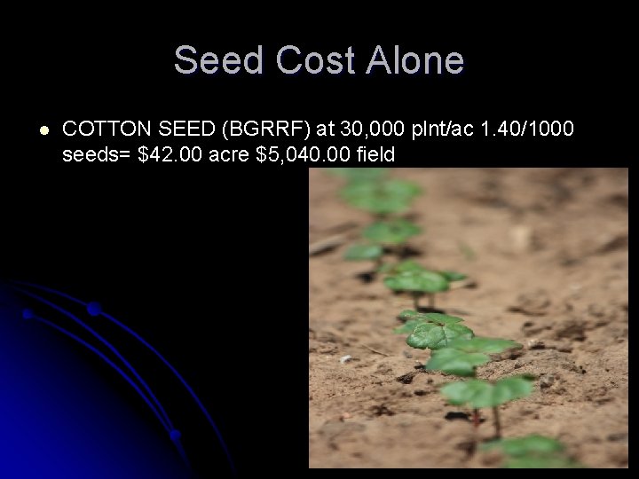 Seed Cost Alone l COTTON SEED (BGRRF) at 30, 000 plnt/ac 1. 40/1000 seeds=