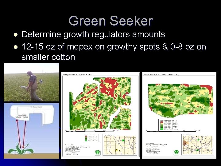 Green Seeker l l Determine growth regulators amounts 12 -15 oz of mepex on
