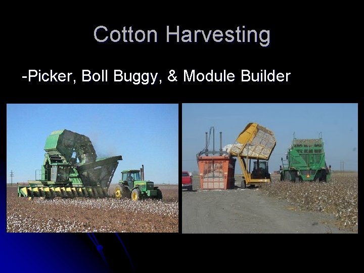 Cotton Harvesting -Picker, Boll Buggy, & Module Builder 