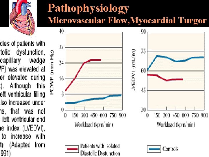 Pathophysiology Microvascular Flow, Myocardial Turgor 