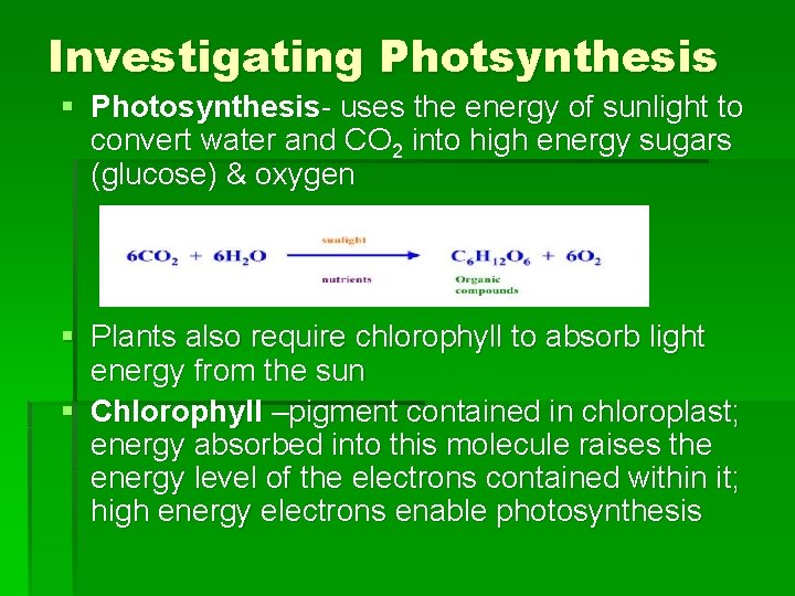 Investigating Photsynthesis § Photosynthesis- uses the energy of sunlight to convert water and CO