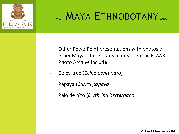 WWW. M AYA E THNOBOTANY . O R G Other Power. Point presentations with