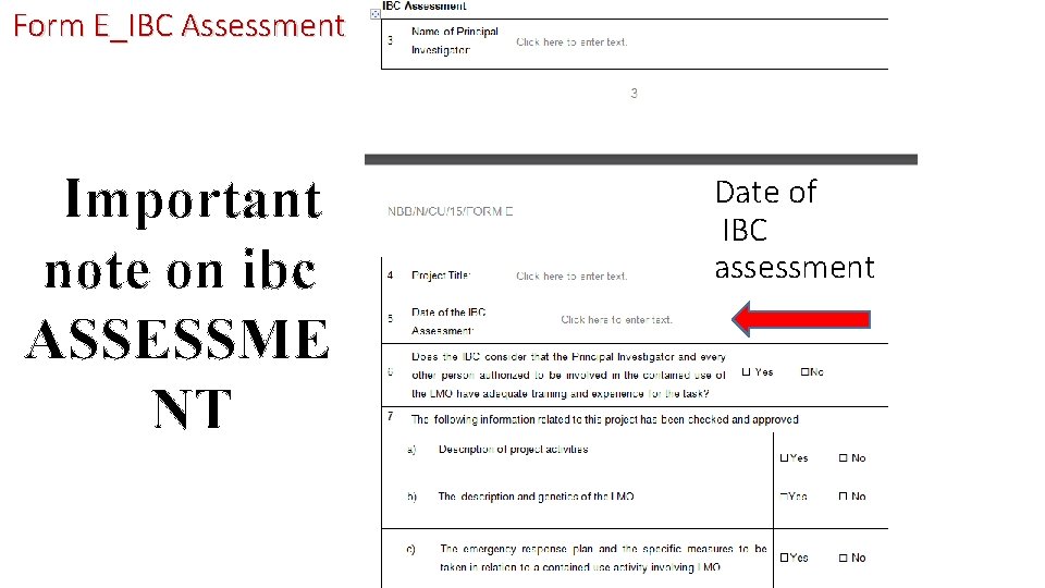 Form E_IBC Assessment Important note on ibc ASSESSME NT Date of IBC assessment 21