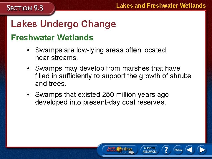 Lakes and Freshwater Wetlands Lakes Undergo Change Freshwater Wetlands • Swamps are low-lying areas