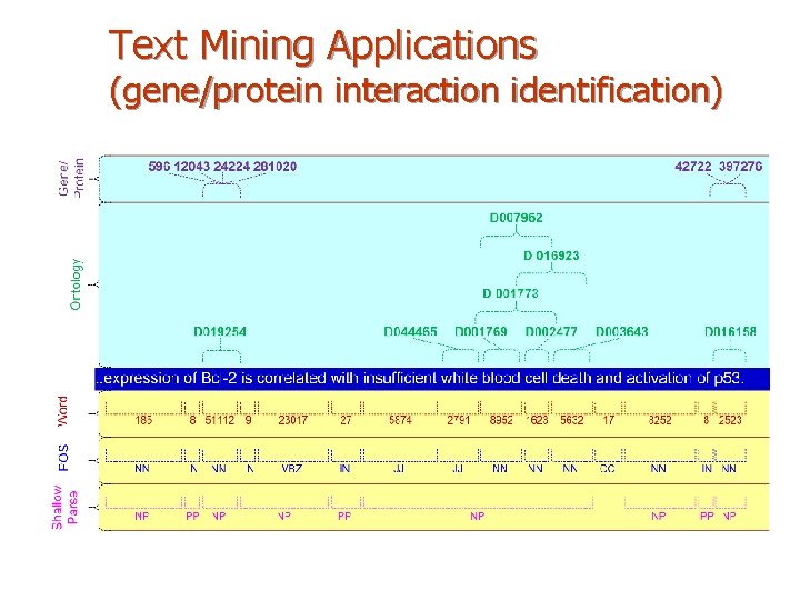 Text Mining Applications (gene/protein interaction identification) 