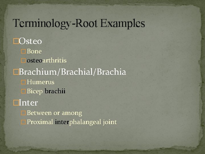 Terminology-Root Examples �Osteo � Bone � osteoarthritis �Brachium/Brachial/Brachia � Humerus � Bicep brachii �Inter