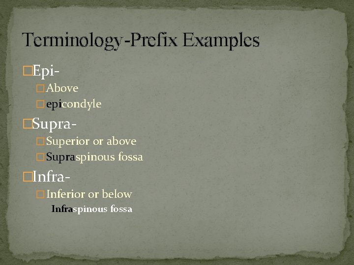 Terminology-Prefix Examples �Epi� Above � epicondyle �Supra� Superior or above � Supraspinous fossa �Infra�