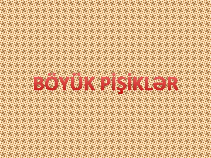 BÖYÜK PİŞİKLƏR 