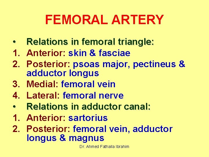 FEMORAL ARTERY • Relations in femoral triangle: 1. Anterior: skin & fasciae 2. Posterior: