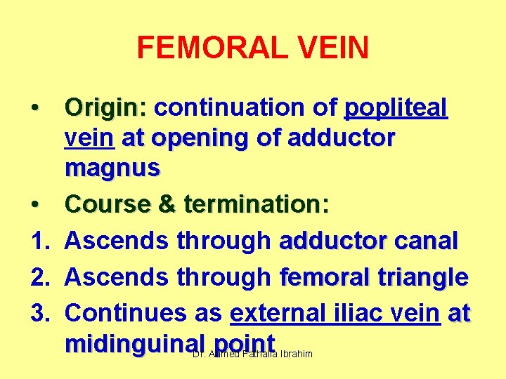 FEMORAL VEIN • Origin: continuation of popliteal vein at opening of adductor magnus •