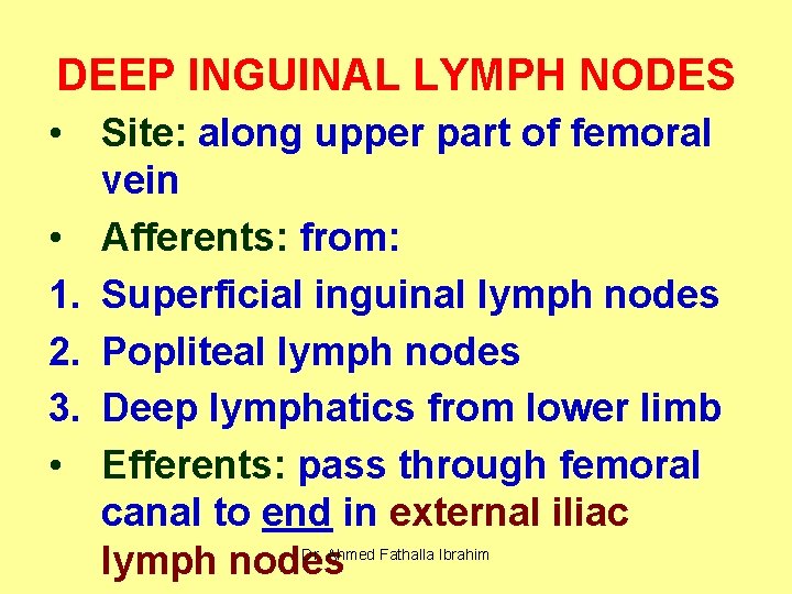 DEEP INGUINAL LYMPH NODES • Site: along upper part of femoral vein • Afferents: