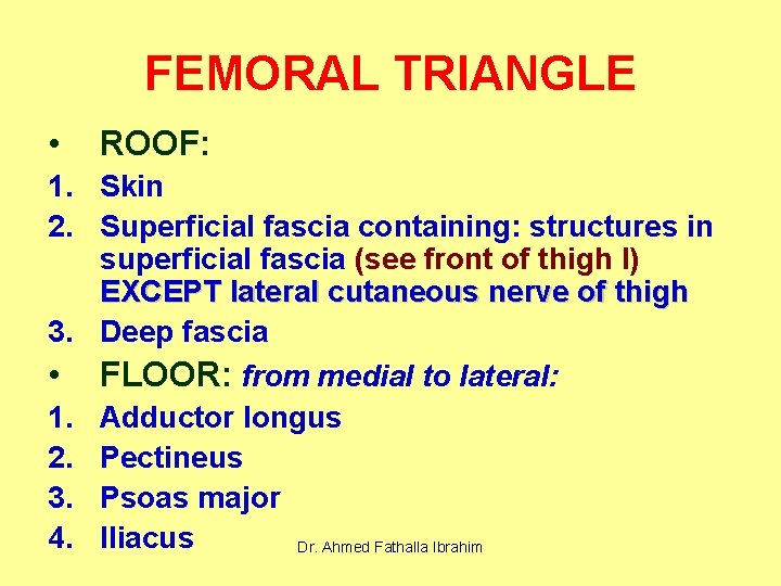 FEMORAL TRIANGLE • ROOF: 1. Skin 2. Superficial fascia containing: structures in superficial fascia