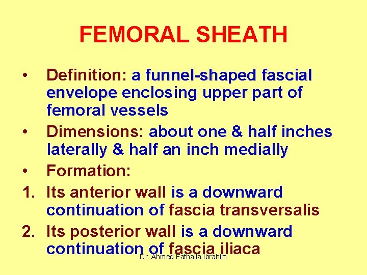 FEMORAL SHEATH • Definition: a funnel-shaped fascial envelope enclosing upper part of femoral vessels