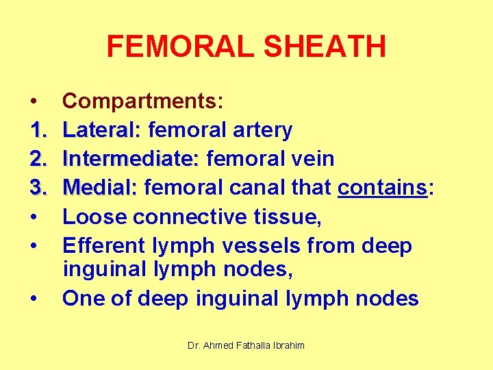 FEMORAL SHEATH • 1. 2. 3. • • • Compartments: Lateral: femoral artery Intermediate: