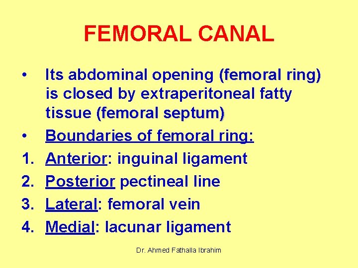 FEMORAL CANAL • • 1. 2. 3. 4. Its abdominal opening (femoral ring) is