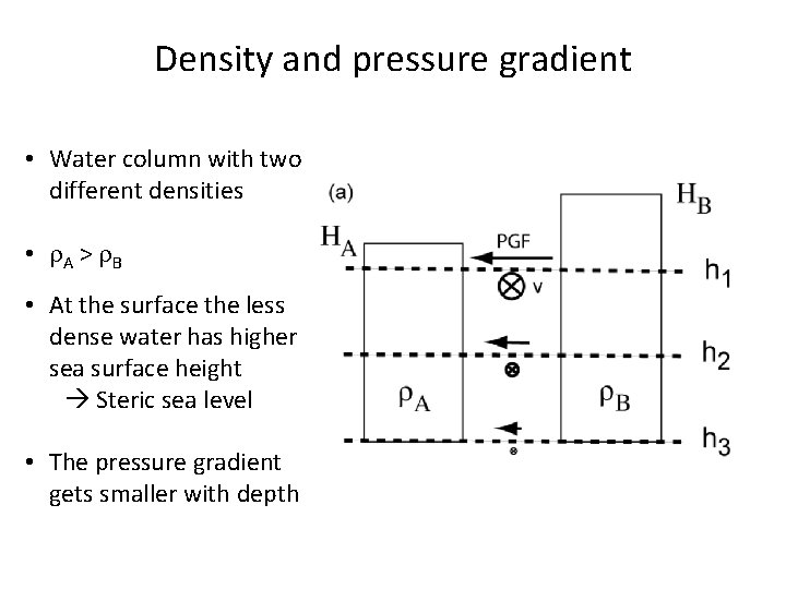 Density and pressure gradient • Water column with two different densities • r. A