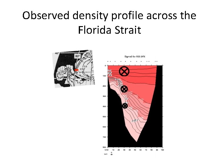 Observed density profile across the Florida Strait 