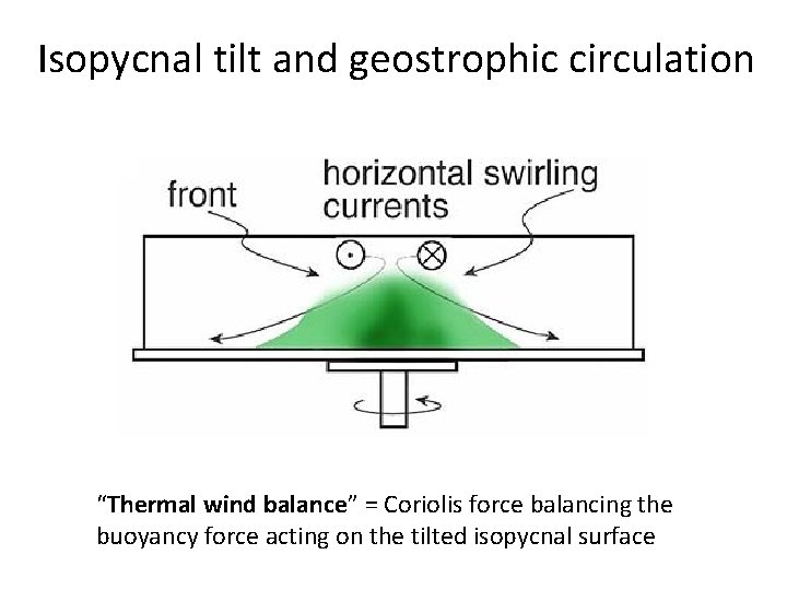 Isopycnal tilt and geostrophic circulation “Thermal wind balance” = Coriolis force balancing the buoyancy