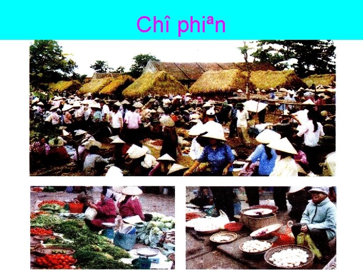 Chî phiªn 