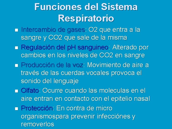 Funciones del Sistema Respiratorio n n n Intercambio de gases: O 2 que entra