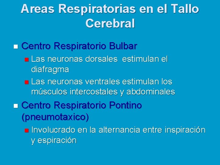 Areas Respiratorias en el Tallo Cerebral n Centro Respiratorio Bulbar Las neuronas dorsales estimulan