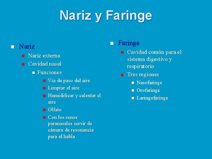 Nariz y Faringe n n Nariz externa Cavidad nasal n Funciones n n n