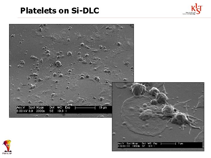 Platelets on Si-DLC 